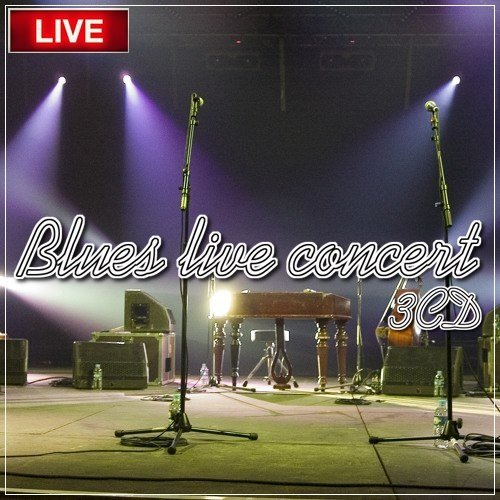 Сборник - Blues live concert