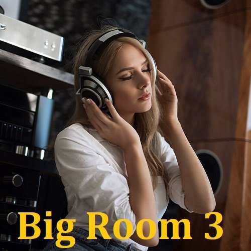 Сборник - Big Room 3 (2023)