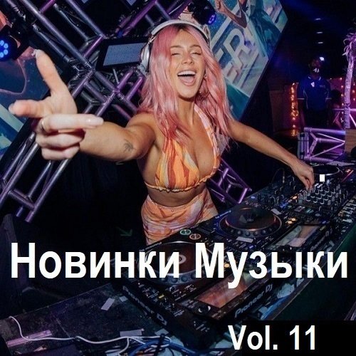 Сборник Новинок музыки Vol.11 (2024)